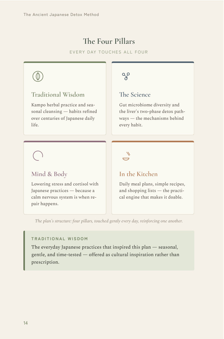 The four pillars of the plan